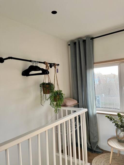 Tiny House In Center Aalsmeer I Close To Schiphol & Amsterdam ภายนอก รูปภาพ
